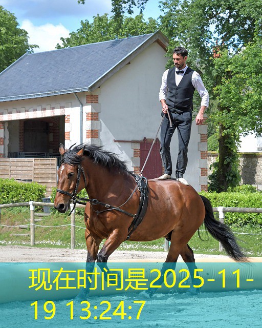 brasileiro gosta de jogar cassino