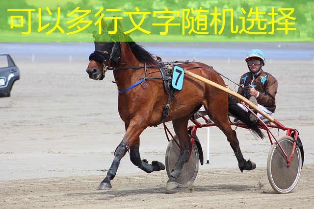 the witcher jogue cartas com os convidados do cassino