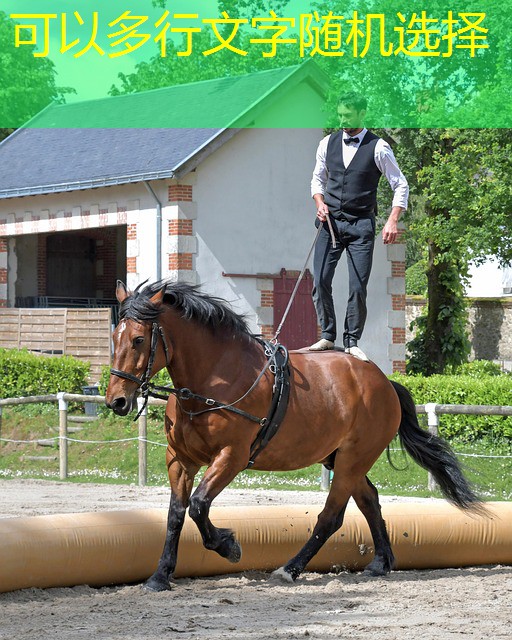 jogo muito usado no cassino de macau