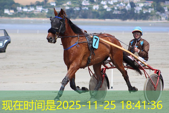 sonhar que esta jogando no cassino sonhar que esta jogando no cassino