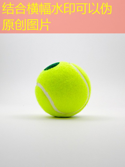 jogos de azar cassino