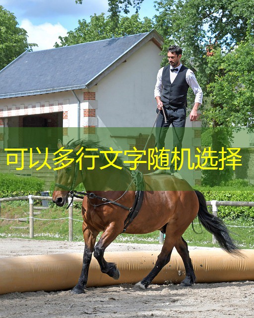 plataformas de jogos cassino