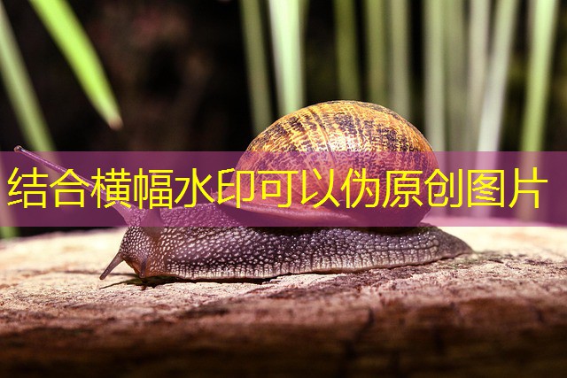 jogos de cassino das bruxas jogos de cassino das bruxas