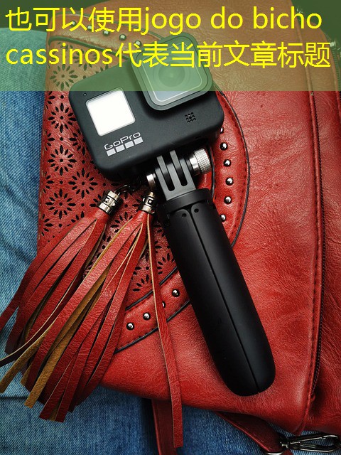 jogo do bicho cassinos jogo do bicho cassinos