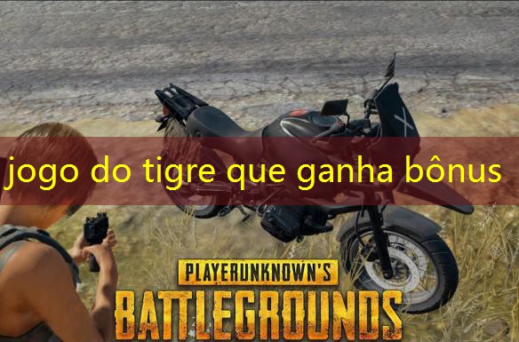 jogo do tigre que ganha bônus